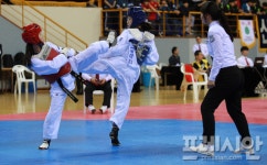 제52회 전국대학태권도 개인선수권 대회…5월 2~9일까지 영광서 개최