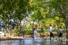 순천만정원, 12만 7000명 북적북적…직영 전환 후 하루 최다 신기록
