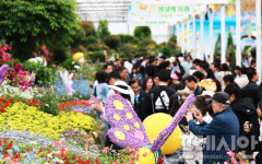 제27회 함평나비대축제 성료…12일간 22만여 명 찾아