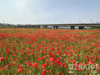 나주 영산강 5월 행사 풍성…전국노래자랑·영산포 홍어축제·한우축제