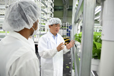 장수군 수직농장서 6주만에 첫 수확…연중 생산 기후위기 시대 대안