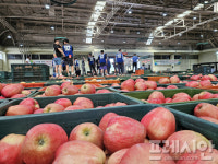 경북도의회, 미국산 사과 수입 추진 강력 반대…“통상협상 희생양은 농민이 아니다”