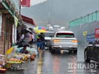 폭염 아니면 폭우…광주·전남, 7일도 최대 120㎜ 비 예보
