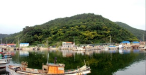 포항 북천수·발산리 군락지, 천연기념물 지정구역 확대 예고