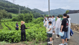 대전 대덕구에서 즐기는 팜스테이 농촌 체험