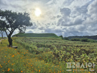 “북한 땅이 저리 가까운데 너무 멀게 느껴졌어요”…전북 청년 60명 DMZ 현장 탐방