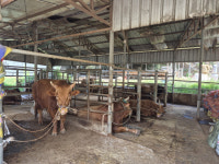 의령 오천지구 지표수공사장 축사, 소음·진동 피해 논란