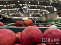 안동시 농업인단체협의회, 추석 앞두고 농수산물도매시장 점검