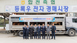 합천황토한우, 아랍에미리트 첫 수출길