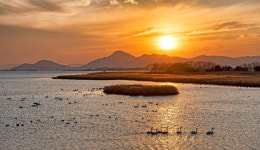 을숙도를 도시공원으로 부산시, 공원녹지법 개정 기념 행사