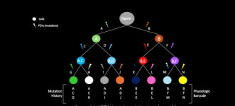 나는 왜 따뜻한 부검을 해서 세포를 떼어내고 배양하나?[최준석의 과학자 열전]