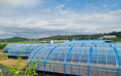 “농가 소득 안정과 경쟁력 강화” 군산시, 스마트원예 분야 자체 사업 추진