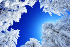 하이원·정암사·함백산 갔다가 뜨끈한 온탕까지