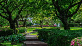 엘리시안 CC, 2년 연속 ‘한국 10대 골프장’ 선정…명문 골프 브랜드 입지 굳혀