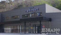 [이슈] 지역 특화 산업의 새로운 모델...울릉산림농산, 마가목 통한 지역 경제 활성화 주도