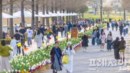 튤립·벚꽃 만발한 순천만국가정원…탐방객들, 추억만들기 분주