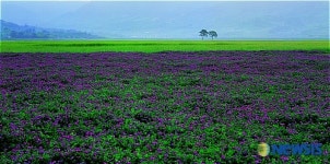 부부사진전-장일순作 하동 평사리