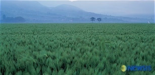 부부사진전-장일순作 하동 평사리