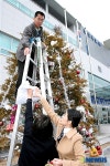 크리스마스 트리 장식하는 춘천경찰서 직원들