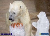 케익이 시원해요~