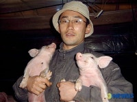 돈(金)을 벌고 있는 돈(豚)