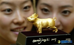 황금 100돈으로 만든 진짜 황금 돼지