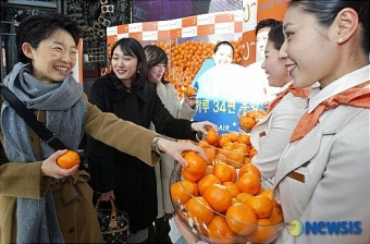 제주항공, 제주감귤 맛보세요!