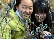봄이 왔어요!