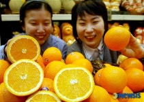 새콤달콤한 오렌지 맛보세요