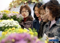 꽃향기에 취하고 싶다!