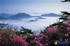 자연의 신비 백인백경-어재덕 운길산의 봄
