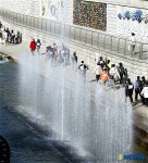 분수도 보며 걷기대회 즐겨요