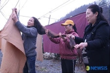 머리카락 3m 얼마 남지 않았어요!