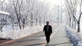 춘설(春雪)에 쌓인 전북