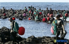 제주해녀, 유네스코 간다