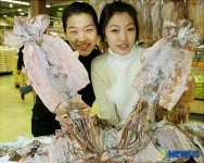 영동 산골 오징어 드셔보세요