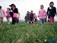 손잡고 보리밭 걸어요