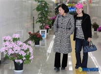 광주 금남로5가역 꽃길