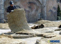 화창한 봄이네!