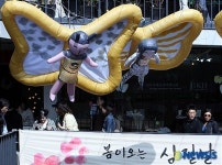 노랑나비와 함께 오는 봄맞이 삼짇날