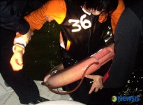 포항해경, 발 빠른 대처, 귀중한 생명 구해