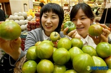 웰빙 토마토 맛보세요