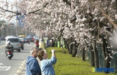 봄을 카메라에 담아요