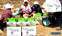 출하 준비하는 평창 백덕산 더덕