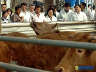 강원도 한우목장 방문한 노무현 대통령