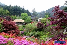 아침고요수목원의 고향집정원 전경