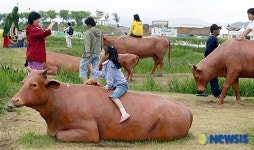 함평 한우와 한 컷!