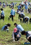 환경정화에 나선 시민들