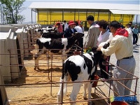 장애우와 함께하는 열차체험 한사랑 잔치