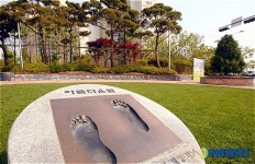 박지성 공원 수원에 조성